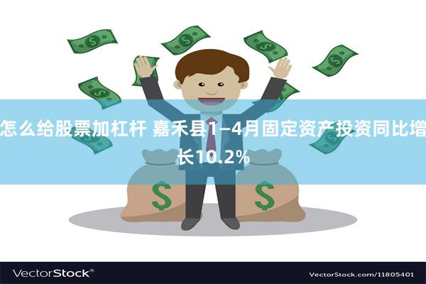 怎么给股票加杠杆 嘉禾县1—4月固定资产投资同比增长10.2%