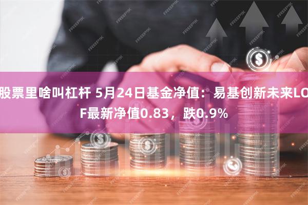 股票里啥叫杠杆 5月24日基金净值：易基创新未来LOF最新净值0.83，跌0.9%