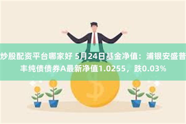 炒股配资平台哪家好 5月24日基金净值：浦银安盛普丰纯债债券A最新净值1.0255，跌0.03%