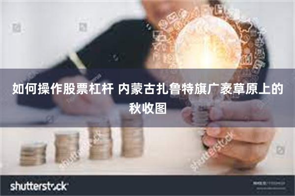 如何操作股票杠杆 内蒙古扎鲁特旗广袤草原上的秋收图