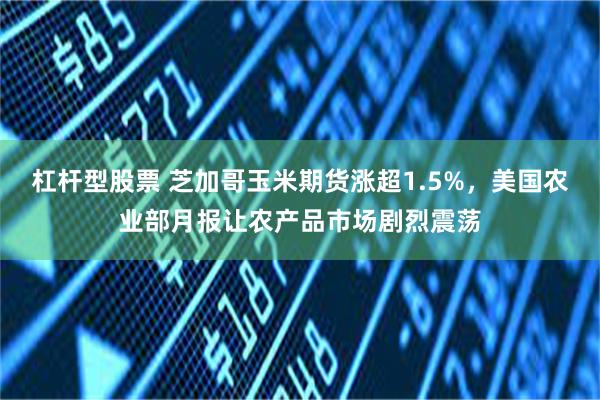 杠杆型股票 芝加哥玉米期货涨超1.5%，美国农业部月报让农产品市场剧烈震荡