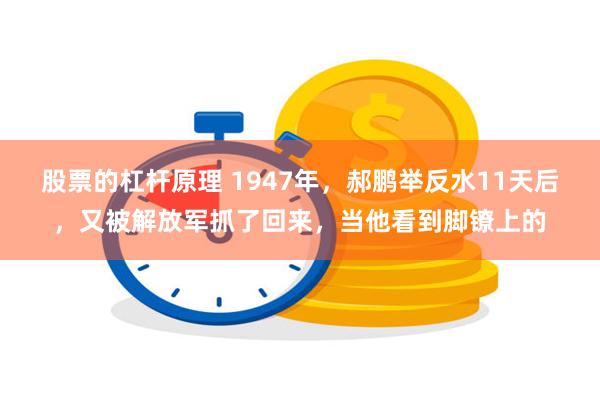 股票的杠杆原理 1947年，郝鹏举反水11天后，又被解放军抓了回来，当他看到脚镣上的