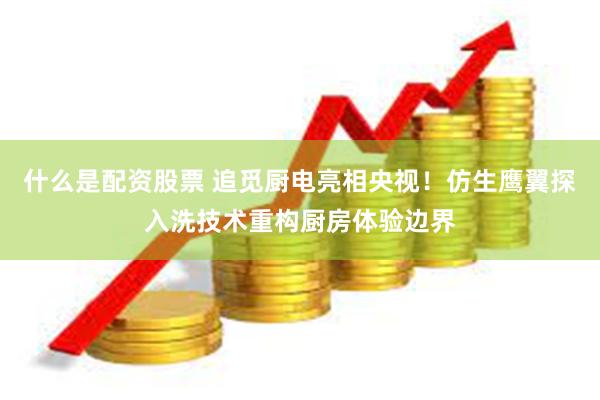 什么是配资股票 追觅厨电亮相央视！仿生鹰翼探入洗技术重构厨房体验边界