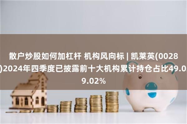 散户炒股如何加杠杆 机构风向标 | 凯莱英(002821)2024年四季度已披露前十大机构累计持仓占比49.02%