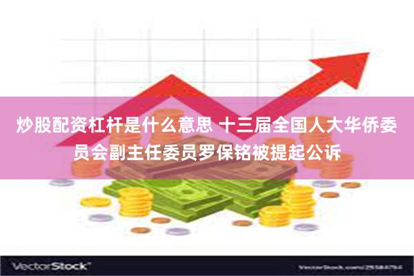 炒股配资杠杆是什么意思 十三届全国人大华侨委员会副主任委员罗保铭被提起公诉